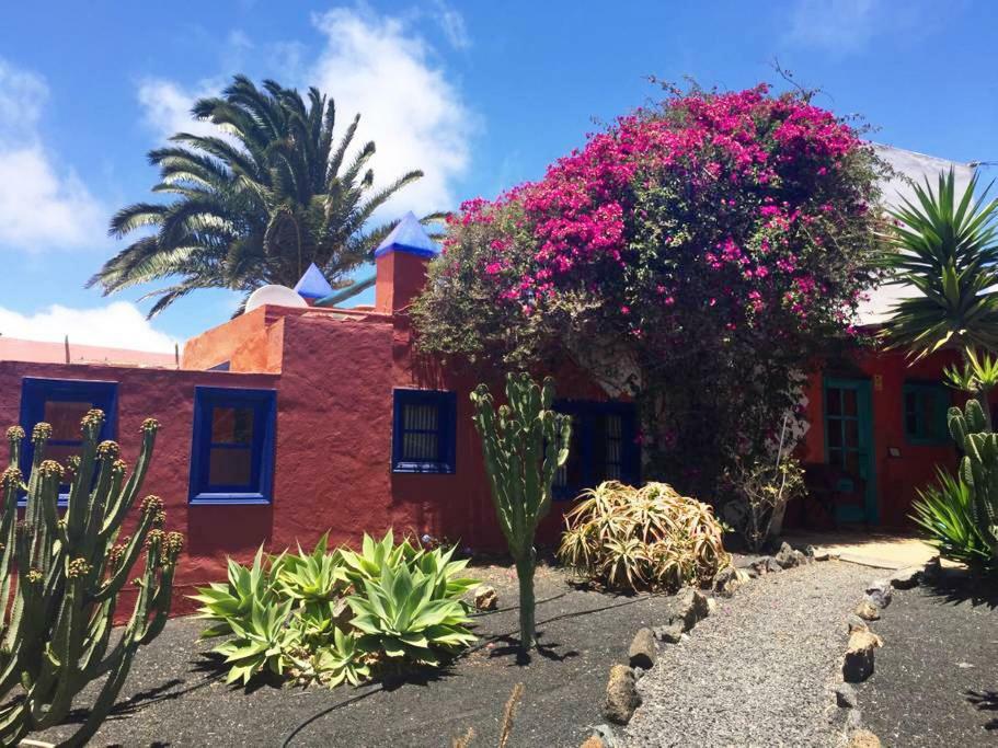 Appartement Casa Panama,In Der Finca Mimosa à Teguise  Extérieur photo